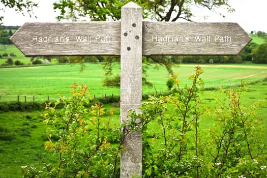 Wooden sign for part of the Hadrian's Wall Path in Northumberland, UK