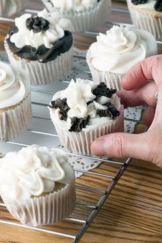 Close up of a hand grabbing a decadent gourmet cupcake with chocolate and vanilla frosting. Shallow depth of field.