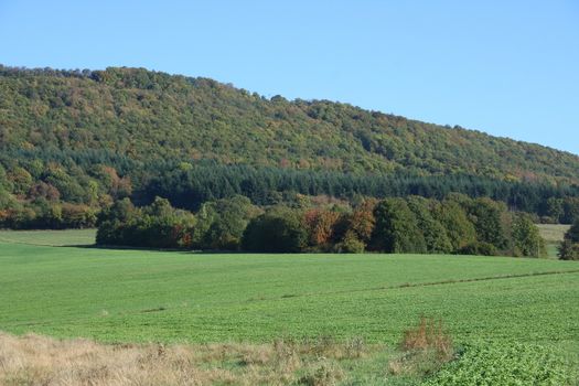 Mountains with forested mountain