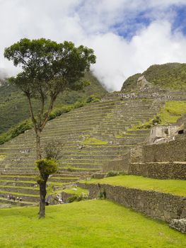 The Watchman's Hut on the top of Terraced Fields in the upper Agricultural Sector in a pre-Columbian 15th-century Inca site of the lost Inca city Machu Picchu, Andes mountains, Urubamba, Cusco, Peru.