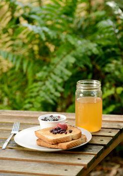 toast, apple juice and jam on picnic table in summer