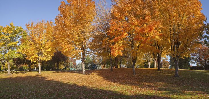 Public park in Autumn colors Gresham OR.