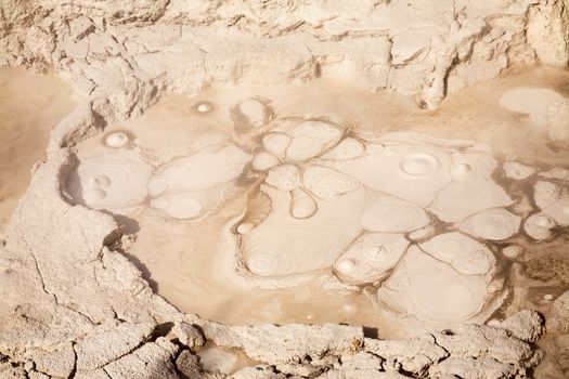 Mud pot in Orakei Korako geothermal area in New Zealand