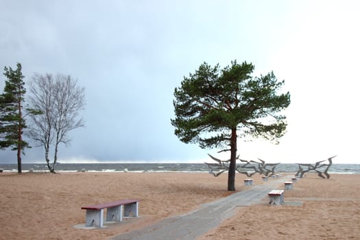 Autumn beach in St. Petersburg.  Gulf of Finland