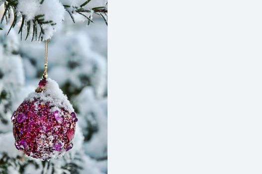 Christmas note with a snow covered ornament bulb hanging in a tre. Space for your text in very light blue color