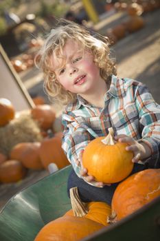 Adorable Little Boy Sitting in Wheelbarrow and Holding His Pumpkin in a Rustic Ranch Setting at the Pumpkin Patch.
