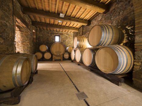 oak wine barrels stacked in a winery cellar