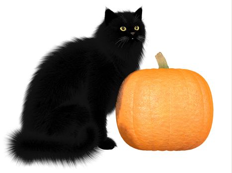 The black cat and pumpkins are a symbol of autumn seasonal Halloween festivities.