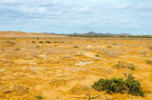 A desert landscape in La Guajira in northern Colombia