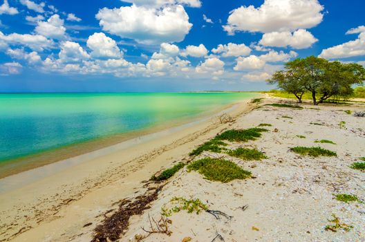 Caribbean Sea beach with green and turquoise water in La Guajira, Colombia