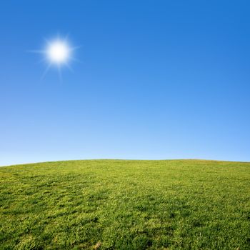 Photo of a green grass field with deep blue sky on a sunny day