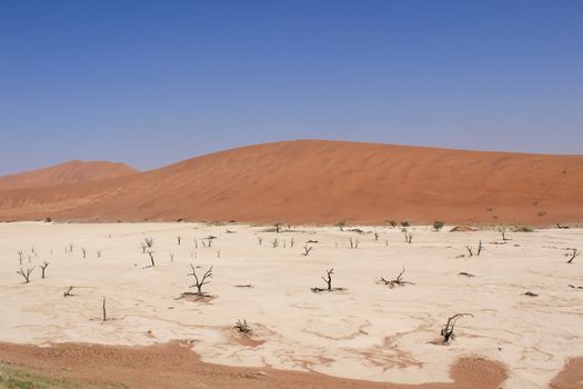 Sossusvlei dead valley landscape in the Nanib desert near Sesriem, Namibia 