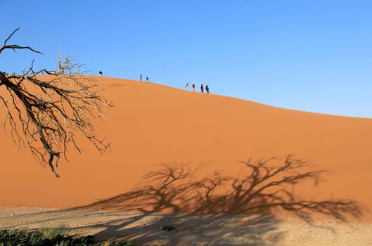 Trekking a sand dune in the Namib Desert, Sossusvlei, Namibia 