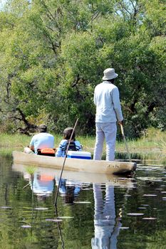 Ride in a traditional Okavango Delta mokoro canoe, through the reed covered water. North of Botswana.
