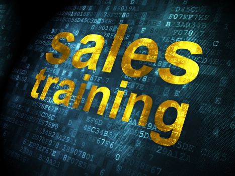 Advertising concept: pixelated words Sales Training on digital background, 3d render
