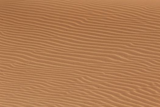 Soil detail, in the Sossusvlei sand dunes, Namib desert. Namibia