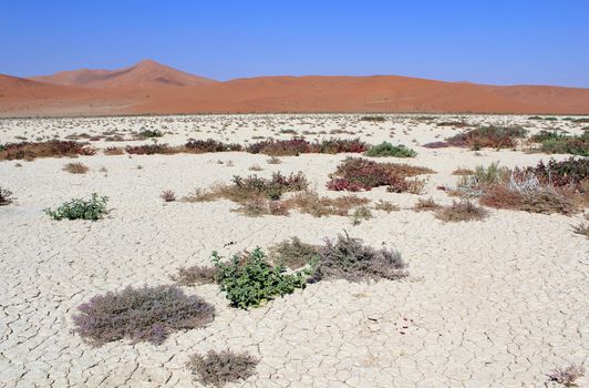 Sossusvlei sand dunes landscape in the Nanib desert near Sesriem, Namibia 