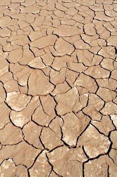 Soil detail of a dry pan, in the Sossusvlei sand dunes, Namib desert. Namibia