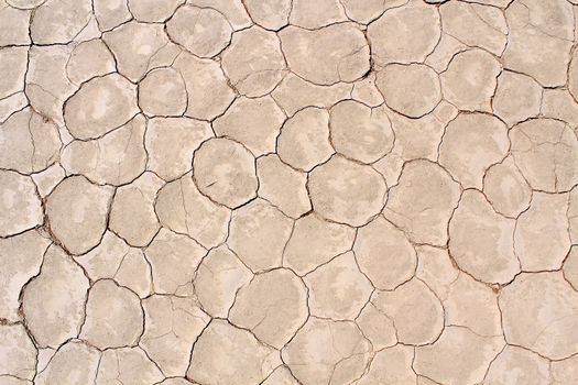 Soil detail of a dry pan, in the Sossusvlei sand dunes, Namib desert. Namibia