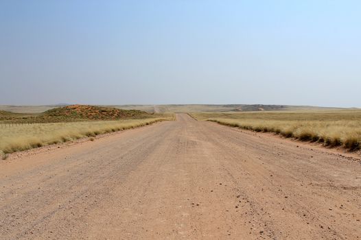 Grassy Savannah in Naukluft Park, Namiba (Road to Sesriem from Windoek)