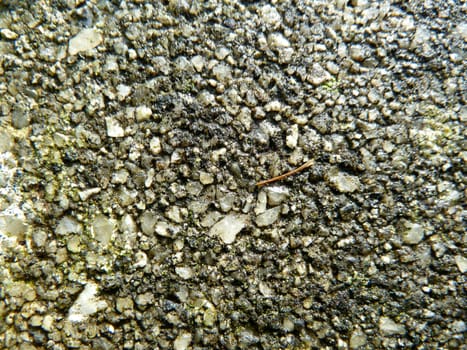 Roughy grey concrete surface as a background