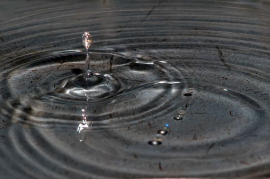 multi colored water drop bubbling