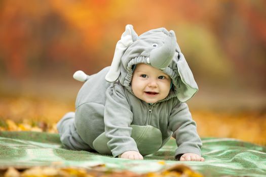 Baby boy dressed in elephant costume in autumn park