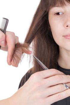 Young woman having a hair cut with a hairdresser trimming her fringe on her long brunette hair, isolated on white