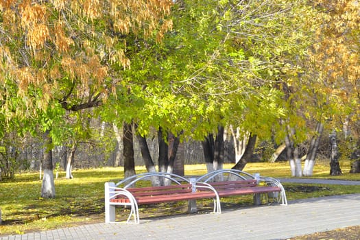 Benches in autumn park.