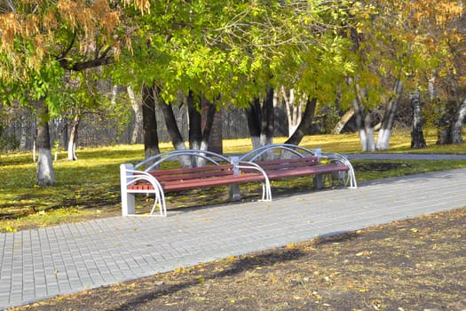 Benches in autumn park.