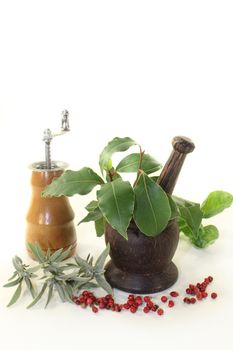 of Mediterranean herbs against white background