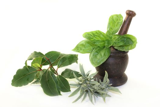 of Mediterranean herbs against white background