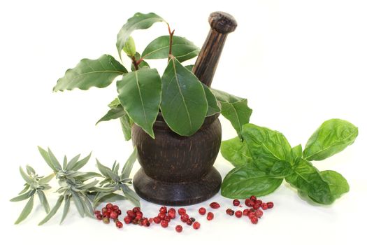 of Mediterranean herbs against white background