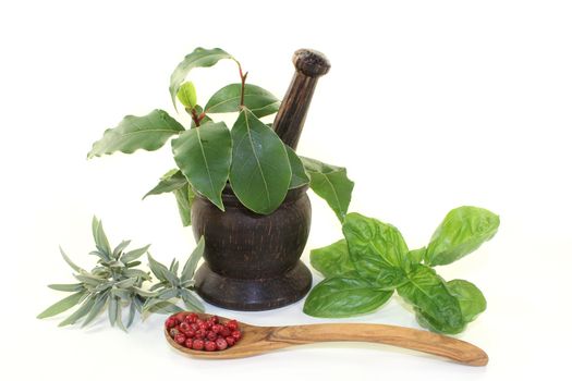 of Mediterranean herbs against white background