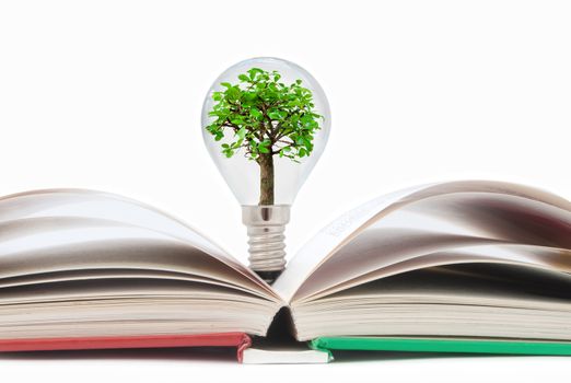 Open book with a small tree inside a light bulb 