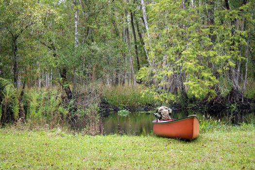 A canoe containing a camouflage tactical backpack with dual canteens rests on the bank of a creek in a lush, tropical forest.