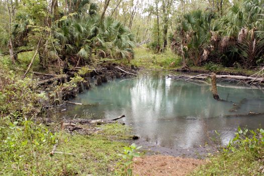 An underground spring flows into an emerald-green pond in a remote, tropical forest.  The remnants of old railroad supports are visible to the left.