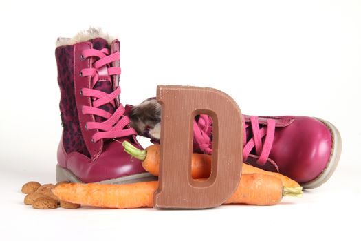 Celebrants of the Sinterklaas celebration are given their initials made out of chocolate.