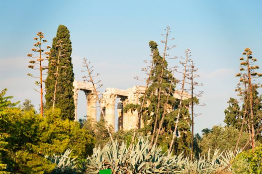 Ruins of Temple of Olimpian Zeus through green trees, Athens, Greece