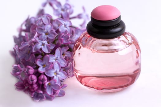 Lilac branch near a bottle of perfume