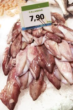 Fresh calamari on display on ice, with price, at Barcelona fish market