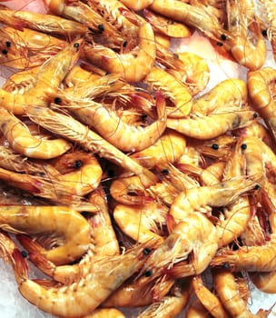 Fresh shrimp on display on ice, at fish market