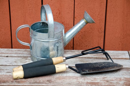 Gardening tools on wooden background