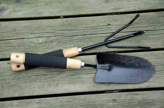 Gardening tools on wooden background