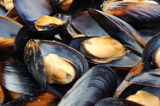 Closeup of big group steamed fresh mussels.