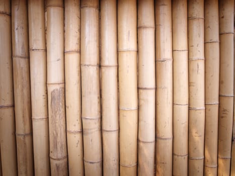 Photo of The Bamboo Background