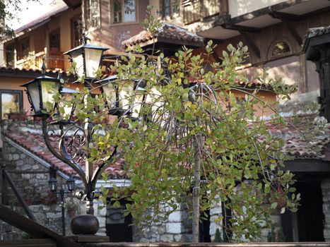 Outdoor Design: Decorative Tree Near Lantern