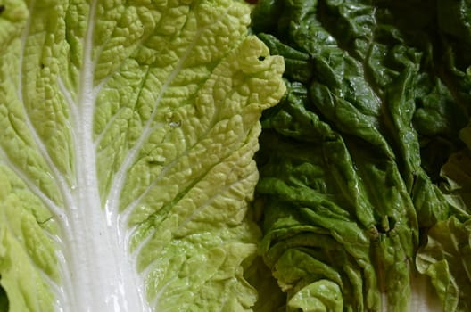 lettuce