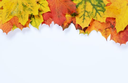 autumn leaves with space for your text