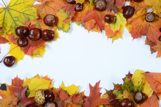 autumn frame